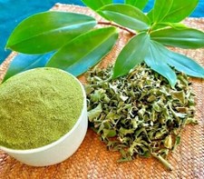 organic Insulin Plant Leaf Powder Costus Igneus for diabetic Thebu 100g packs