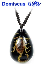 New! Real INSECT Brown SCORPION NECKLACE Teardrop Jewelry BLACK PENDANT 