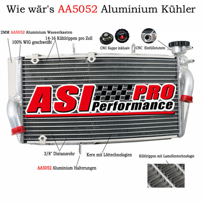 Kühler Aluminium Für Honda CBR900RR CBR954RR SC50 Fireblade 2002 03