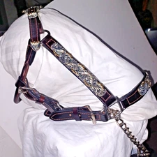 Billy Royal Sterling Silver Show Horse Halter & Lead