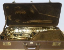 Yanagisawa A-880 Alto Saxophone