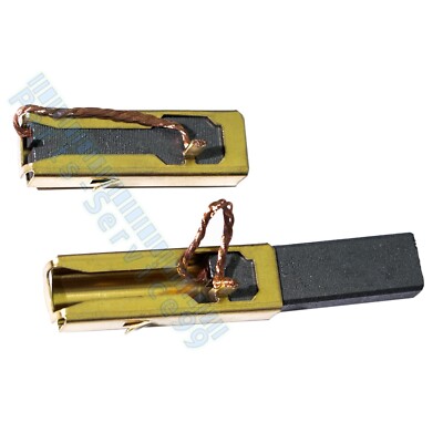 240V Motor Carbon Brush for Festool CTL26E CTL36LE CTM26E CTM36E Dust Extractor