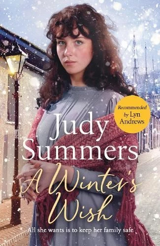 A Winter's Wish Judy Summers Paperback New
