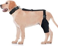 Dog Knee Brace for Dog ACL Brace Hind Leg Or Rear Leg Size: L . Dog Leg Braces