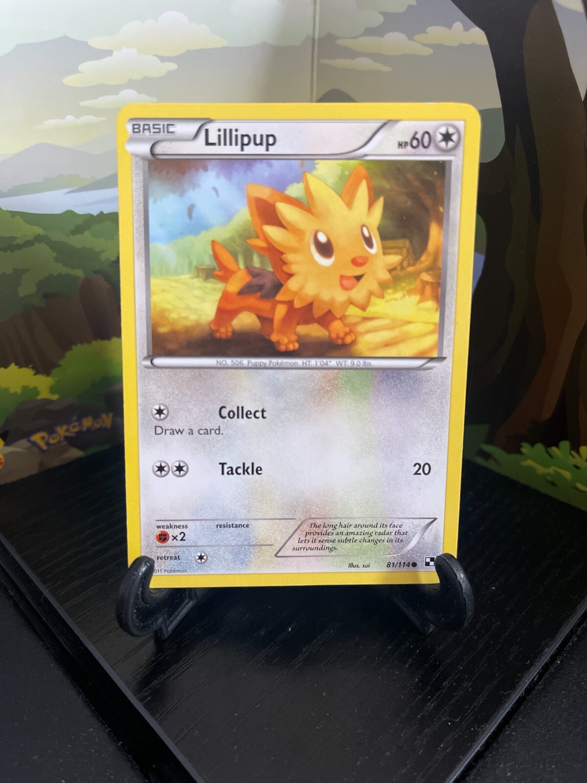Lillipup 81/114 - Black & White - Common - Pokemon Card TCG - LP