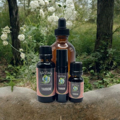 Yarrow Essential Oil