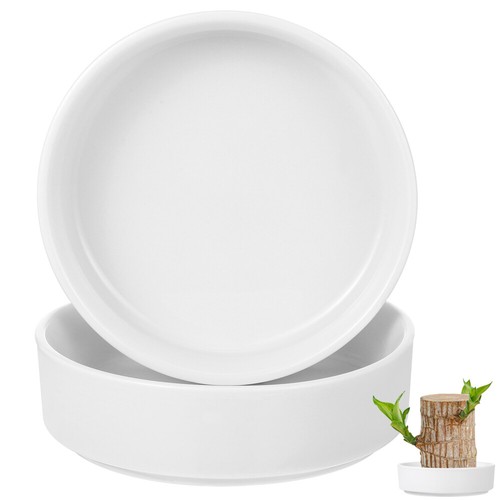 2Pcs Decorative Ceramic Tray for Brazilian Wood Plants Home Office