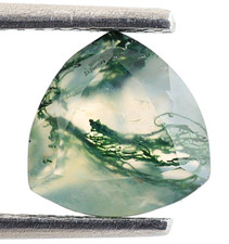 100 Natural Moss Agate Faceted Cut Trillion Shape 8X8mm Loose Gemstone 1.60 Ct.