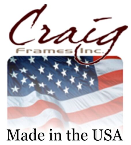 Craig Frames classica Stati Uniti Push Pin mappa di viaggio con spille - 24 x 36 - Foto 11 di 56