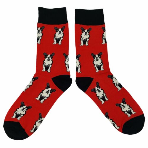 NWT Simple French Bulldog Dress Socks Novelty Men 8-12 Red Crazy Fun Sockfly - Picture 2 of 4