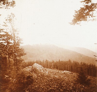  Sainte-Odile Le Couvent Frankreich Foto PL51L14n Platte Vintage 