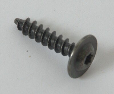 Genuine BMW Mini Torx T-20 screw. 20mm length. Set of 2