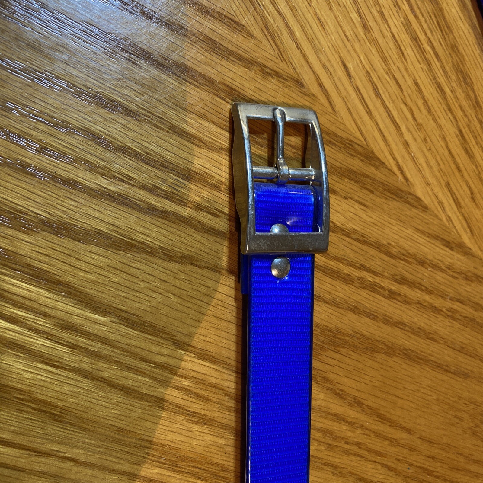 Lion Country Supply 15” Blue Dog Collar DGC115B Metal Buckle eBay