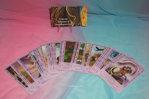 Bella Sara American Native Lights Single Rare Card