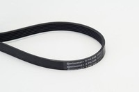 Continental Ctam Keilrippenriemen 6PK948 FüR Audi CitroËN Fiat Ford Honda