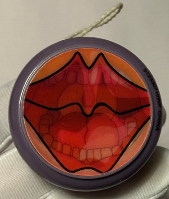 Harry Potter Universal Studios Wizarding World Weasley's Screaming