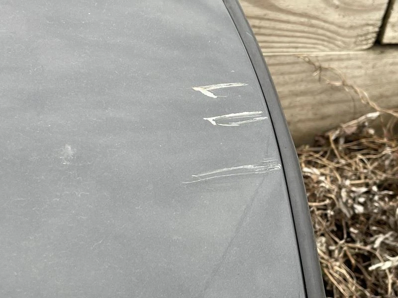 BMW X1 2016-2022 puerta trasera derecha del lado del pasajero negra Foto 2 de 4