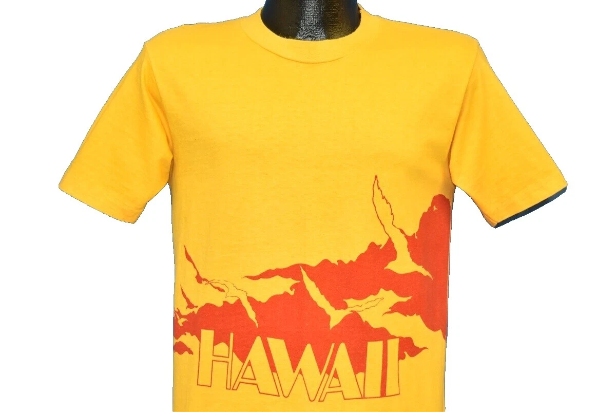 Hanes Regular 1970s Vintage T-Shirts for Men