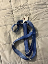 Good2Go Blue Adjustable Dog Lead, 6 ft. Reflective Visibility For Safety Leash