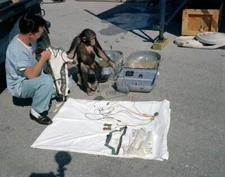 Ham first chimpanzee in space checks equipment Mercury Program 8X12 PHOTOGRAPH