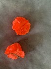New A Lot Of 7 Different Packs Of Little Girl Hair Peaces  — photo 5
