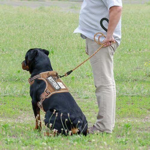Robustes taktisches Hundegeschirr für große Hunde, ohne Ziehen X-Large braun - Bild 4 von 7