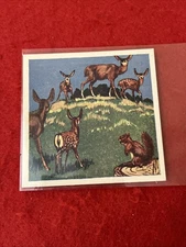1952 Granose Food “Adventures Of Billy The Buck” Trade Card #17 EX