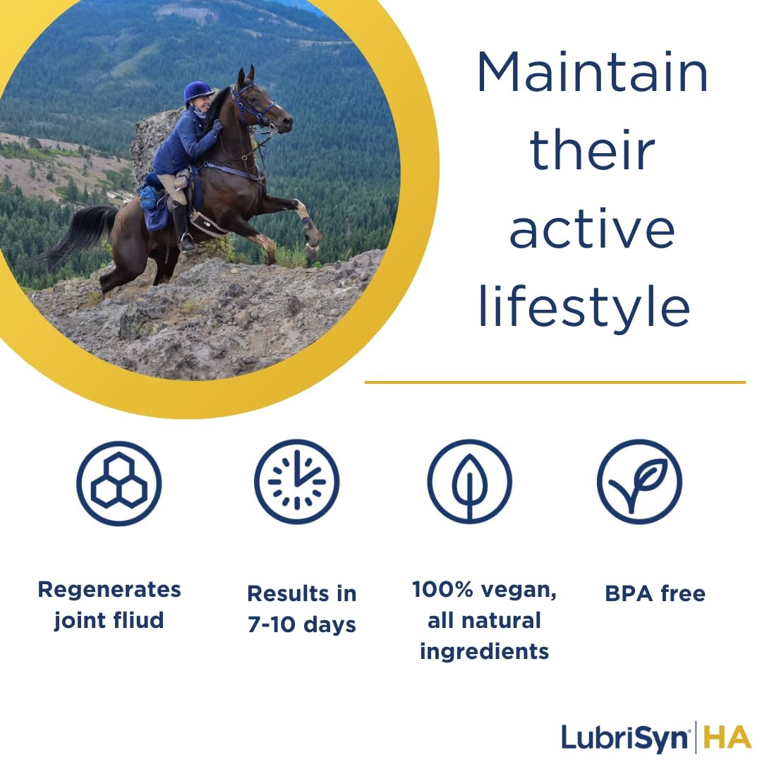 Hyaluronic Acid + MSM Joints Supplement, 16oz: Natural Pure HA Liquid Dog and...