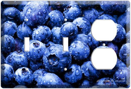 BLUEBERRY BEEREN KÜCHE ESSZIMMER DEKOR LICHTSCHALTER STECKDOSE WANDPLATTE ABDECKUNG - Bild 9 von 13