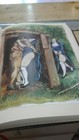 Foto 5 di 12