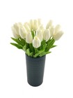 Afbeelding 13 van 37