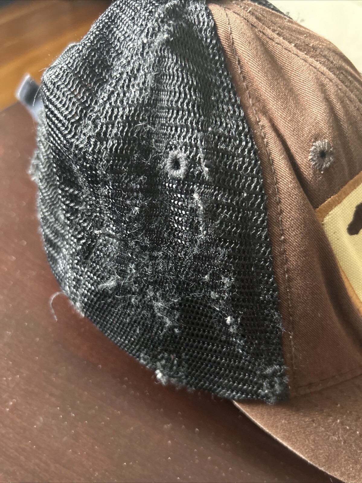 Captivating Headgear Hunting Pointer Dog Mesh Tru… - image 2