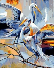 Dipingere con i numeri cicogne con cornice in legno