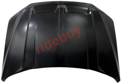 Fit 2017 2018 2019 2020 Ford F-150 F150 Raptor Hood Dual Scoop HOD-24
