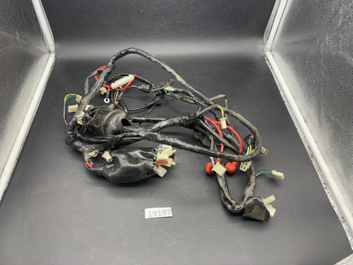 Nova Motors E Retro Star Li Premium Kaufen - Test & Rabattdeals - Foto 9