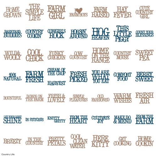 Cricut Cartridges Use with Expression, Create & Personal Cricut Machines Fonts + - 第 81/373 張圖片