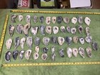 Lot of 52  Crowfoot Oyster Shells 2.75 To 6 Inch Long ￼Polished in the surf — photo 4