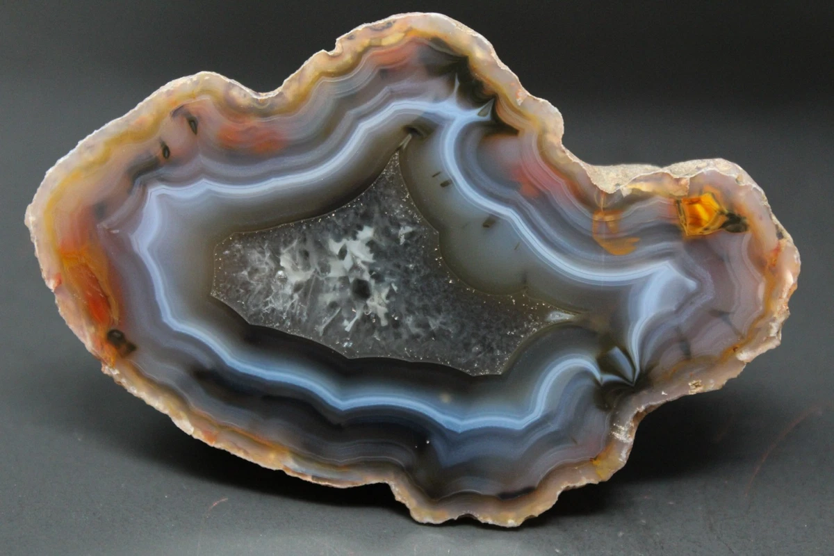 【コレクターズアイテム】コンドルアゲート CondorAgateDisplay4.0_grande.