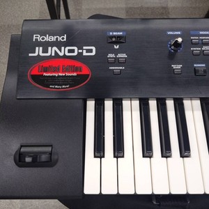 Roland Juno-G | eBay