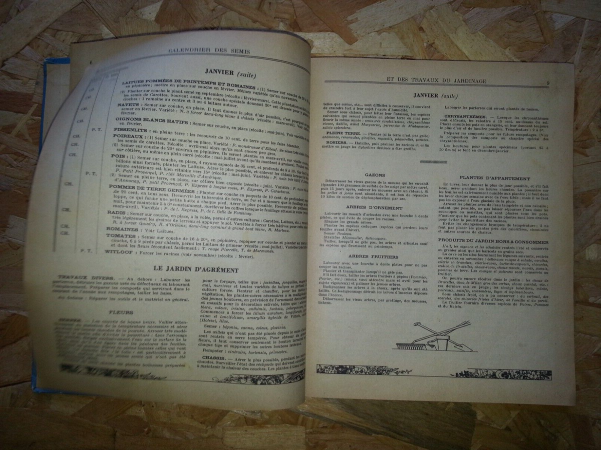 Guide clause: traité pratique du jardinage - COLLECTIF - Livres