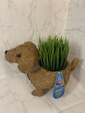 AquaSav Smart Coco Critter Dog Planter, Saves On Watering, Gift idea
