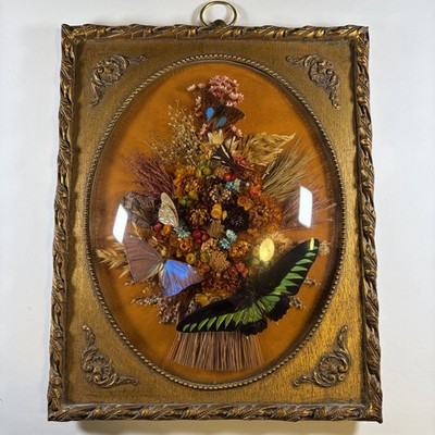 Vintage Butterfly Floral Shadow Box Dome Frame Blue Morpho Taxidermy Art 16x13