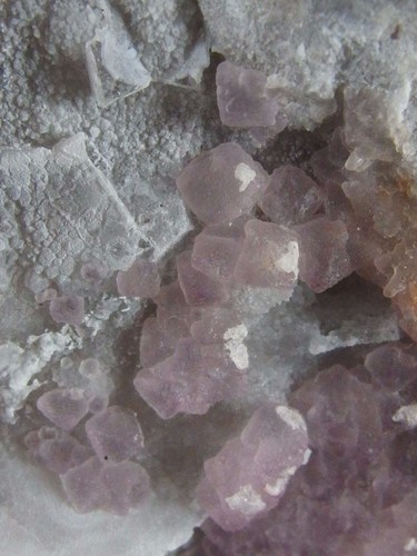Purple Fluorite Crystals on White Quartz Matrix, Arizona. 8 x 8 cm. - Picture 7 of 9
