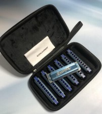 7 Keys Diatonic Harmonica Set 10 Hole Blues Harp Mouth Organ for Beginner Gift