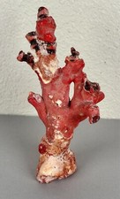 Old Red Rough Branch Coral Specimen 408g Deep Sea Buddhist Natural Healing #1