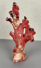 Old Red Rough Branch Coral Specimen 408g Deep Sea Buddhist Natural Healing #1