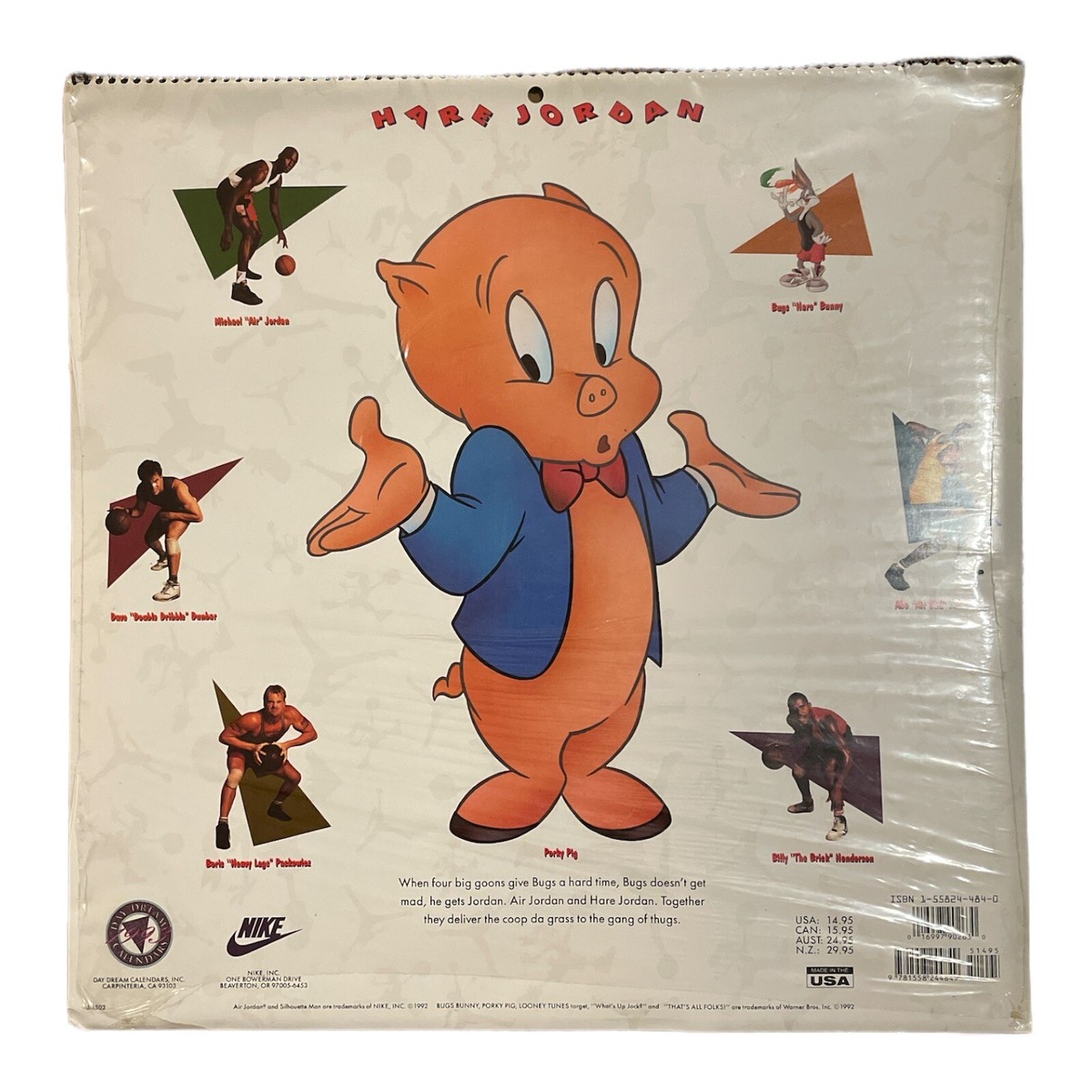 Vtg Hare Jordan Michael Looney Tunes Nike 1993 15