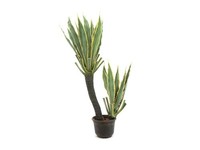Europalms Orchideen-Kaktus, Kunstpflanze, 160Cm ( Pflanzen )