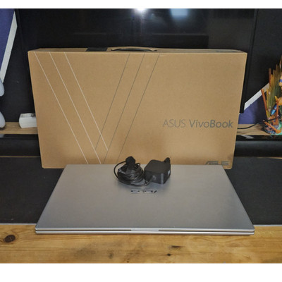 ASUS VivoBook F712J Notebook Silber Intel i7 Iris Plus über 17 Zoll gebraucht