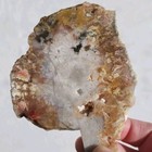 WENDOVER PLUME AGATE SLAB ~ 90 grams / rough agate jasper mineral rock Utah cab — photo 6